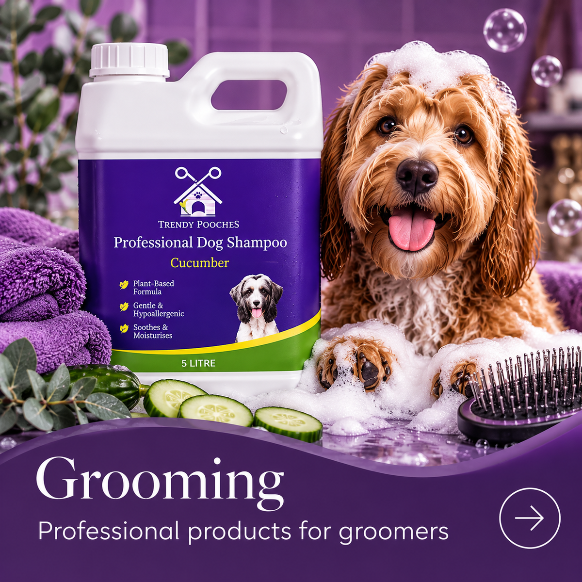 Dog Grooming
